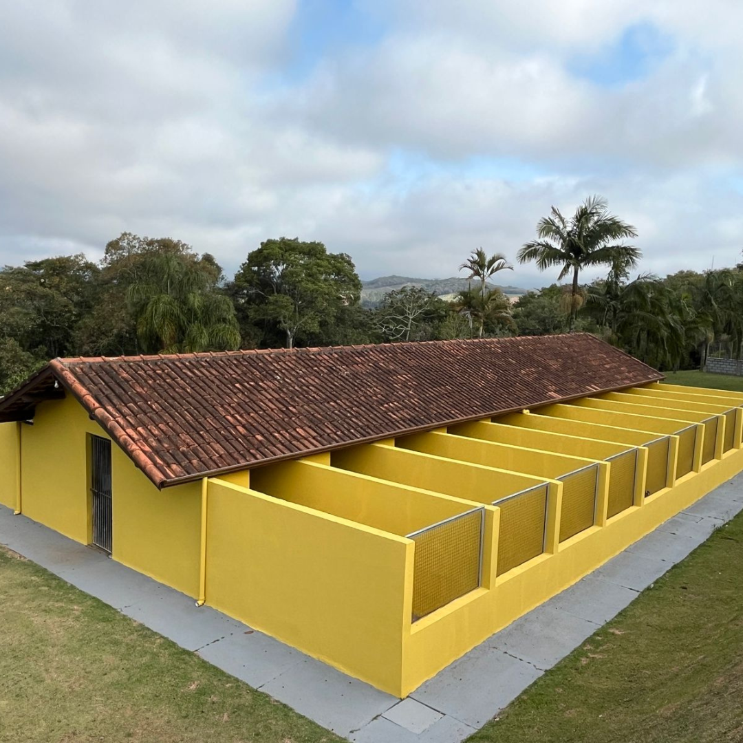 Asilo para Cachorros Notícias | Sunset Resort – O Futuro do Cuidado Canino