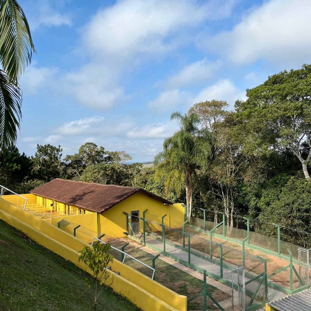  Tem Asilo para Cachorro? | Sunset Resort Explica e Mostra Como Funciona