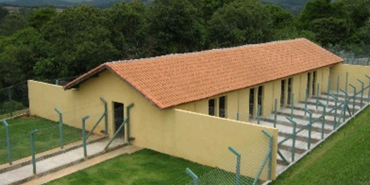 Hotel para Cachorro em Guarulhos | Sunset Resort – Conforto e Segurança para seu Pet