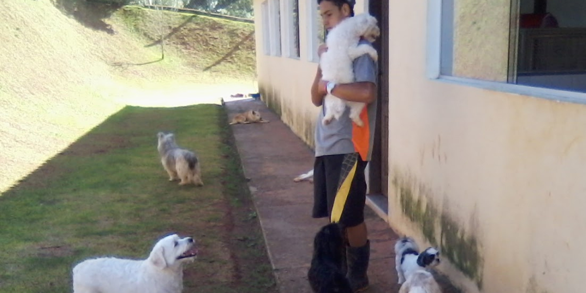 Hotel para Cachorro Jardins | Sunset Resort – Lazer, Segurança e Cuidado Premium