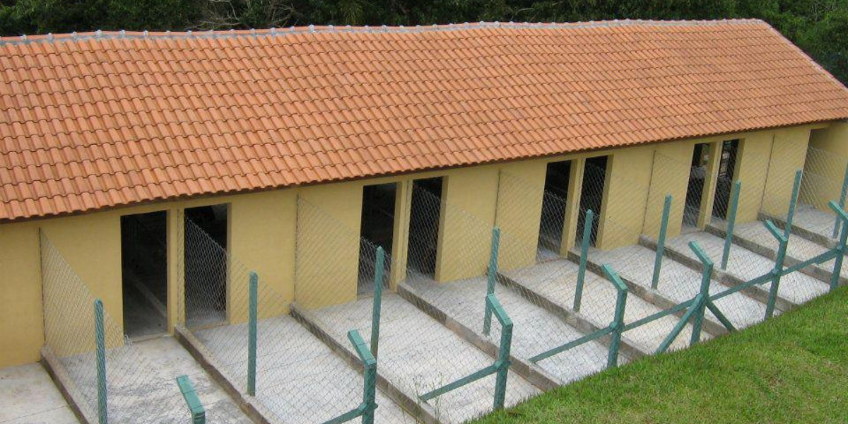 Asilo para Cachorro Jardins | Sunset Resort – Cuidado e Amor para Cães Idosos
