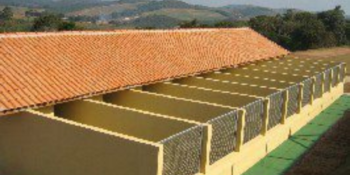 Hotel para Cachorro Itaim Bibi | Sunset Resort – Conforto, Lazer e Transporte Seguro