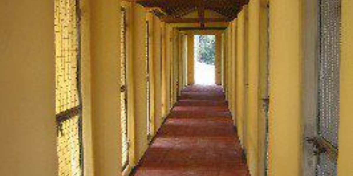 Hotel para Cachorro Moema | Sunset Resort – Lazer, Conforto e Transporte 24h