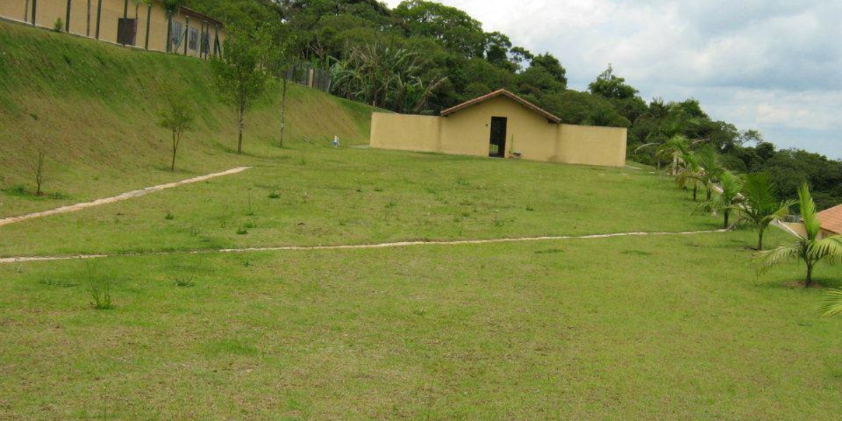 Hotel para Cachorro Vila Nova Conceição | Sunset Resort – Lazer, Conforto e Cuidado 24h